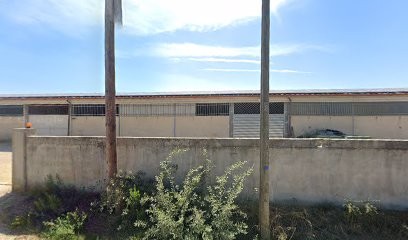 haras de l'oliveraie, Pension pour Chevaux à Solliès-Pont