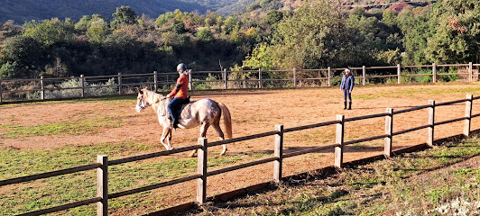 Yo Ranch - Pension Chevaux Pension Pour Chevaux au Puech