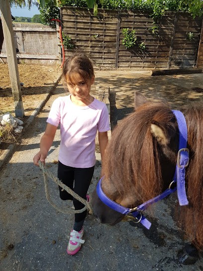Ecurie de Germagny, Centre Equestres à Viry