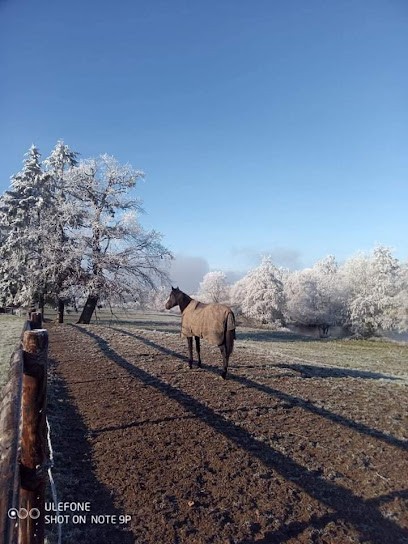 Ecurie Mermel, Centre Equestres à Loddes