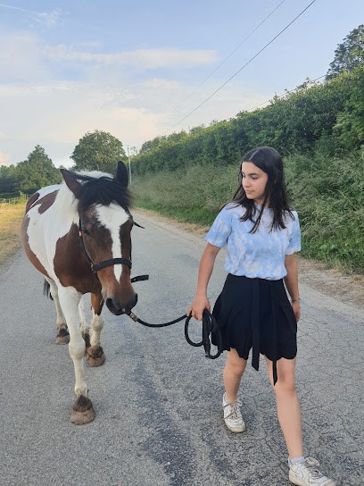 Centre Equestre Neuville Les Dames, Centre Equestres à Neuville-les-Dames