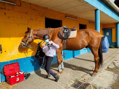 PONEY CLUB LES HARPIES, Centre Equestres à Vertain