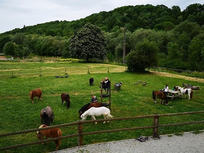 Seichepine Esther, Centre Equestres à Metz