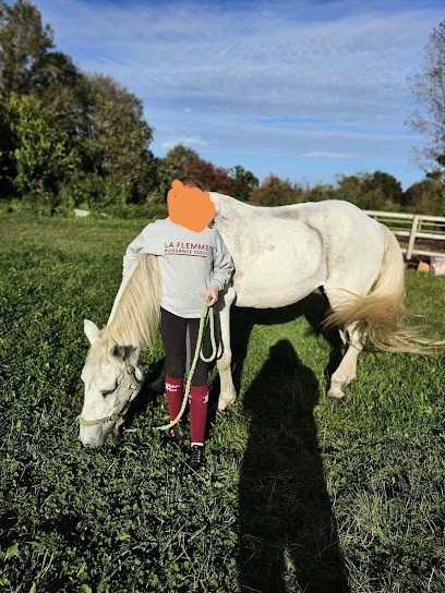 Les Écuries De Bactot, Centre Equestres à Gouville sur Mer