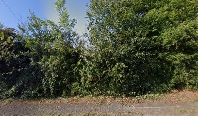 Les Ecuries Du Tros, Centre Equestres à Villethierry