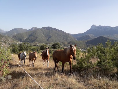 Equisens, Centre Equestres à Saillans