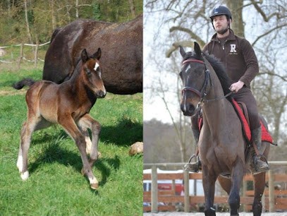 Ecuries En Verbonne, Centre Equestres à Courlans