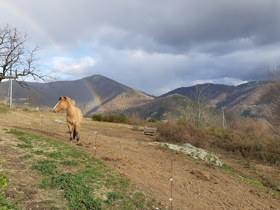 Al Tempo, Centre Equestres à Saint-Pierre-de-Colombier