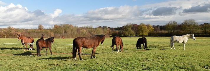 Pferdepension, Pferdeweiden und Reitbetrieb Mäder, Simard, Frankreich, Pension pour Chevaux à Simard