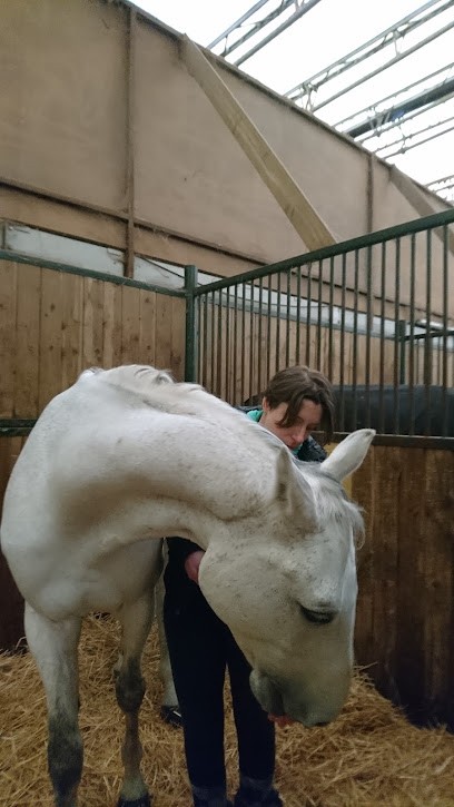 Area Equestrian Des Pins, Centre Equestres à Fontenay-le-Fleury