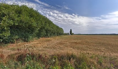 Haras Des Demoiselles, Centre Equestres à Saint-Germain-sous-Doue