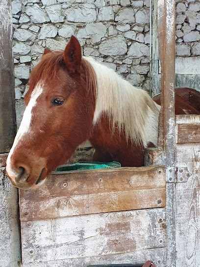 Equestrian Center Du Saint Eynard, Centre Equestres à Montbonnot-Saint-Martin