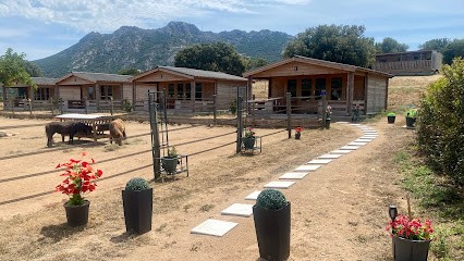 Haras de Tesa, Pension pour Chevaux à Occhiatana