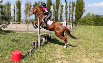 CENTRE EQUESTRE GRAYLOIS, Centre Equestres à Gray