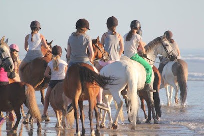 Complexe Hippique Pieux, Centre Equestres aux Pieux