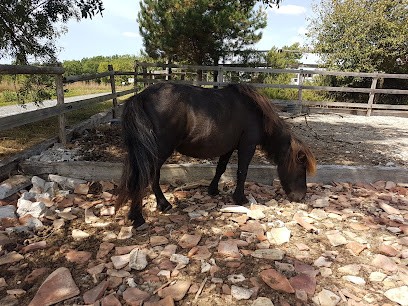 FERME EQUESTRE HANTAYO, Centre Equestres à Saint-Robert