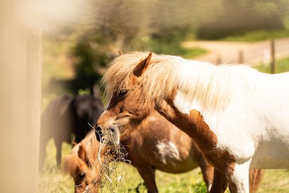 Brisac Equiteam., Centre Equestres à Égriselles-le-Bocage