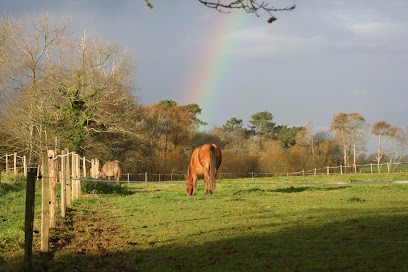 Écuries La ferme de Lanvern ( pension chevaux), Pension pour Chevaux à Plonéour-Lanvern