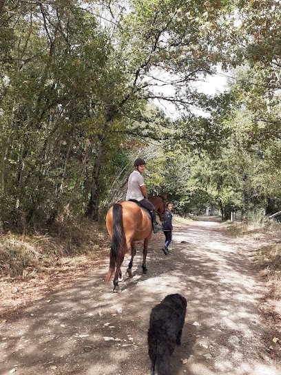 CENTRE EQUESTRE LES SEYCHAS, Centre Equestres à Séreilhac