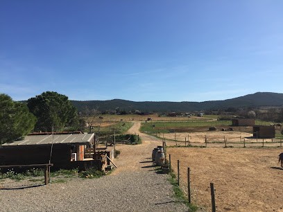 LES ECURIES DE LA ROQUELONGUE, Centre Equestres à Saint-André-de-Roquelongue