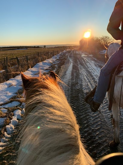 White Mill Ranch, Centre Equestres à Tiviers
