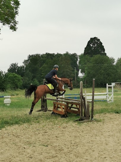 Association Equestrian Les Poneys, Centre Equestres à Loury