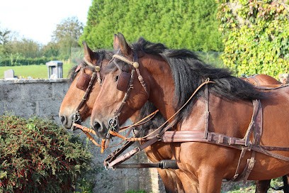 Picardie Attelage, Centre Equestres à Trefcon