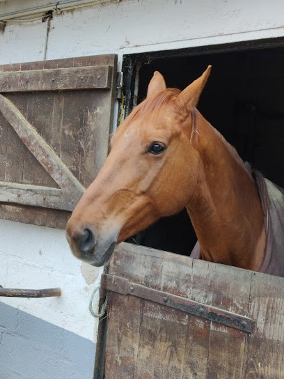 Les écuries de Jumili, Centre Equestres à Jouars-Pontchartrain