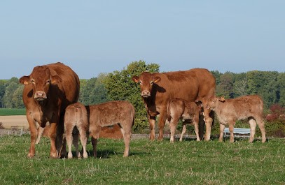 EARL De Planfort, Pension pour Chevaux à Brévonnes