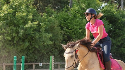 Easycheval Ecole D'équitation, Centre Equestres à Montluel