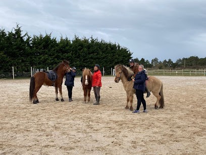 Les Islandais Du Vexin, Centre Equestres à Condécourt