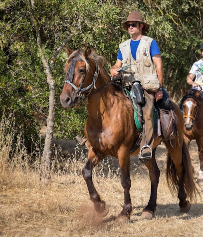 Caval'Thau, Centre Equestres à Mèze