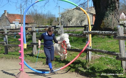 Association Le Paradis De Pablo, Centre Equestres à La Celle-Dunoise