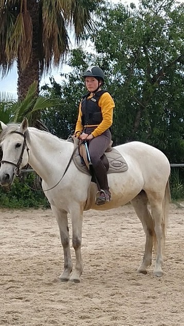 Stud Du Nizon, Centre Equestres à Saint-Laurent-des-Arbres