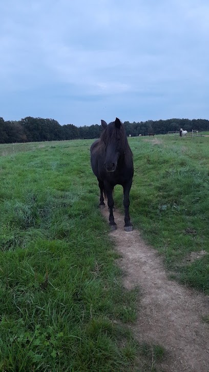 LA BASSE D ONCIERES - SCEA, Centre Equestres à Rambervillers