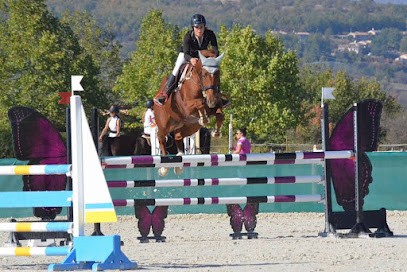 Écuries du Mas d'Oc, Pension pour Chevaux à Bousse