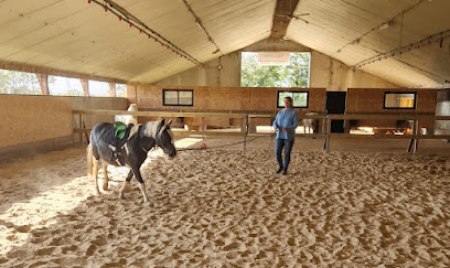 Talavia Poney Club Centre Équestre à Touvois