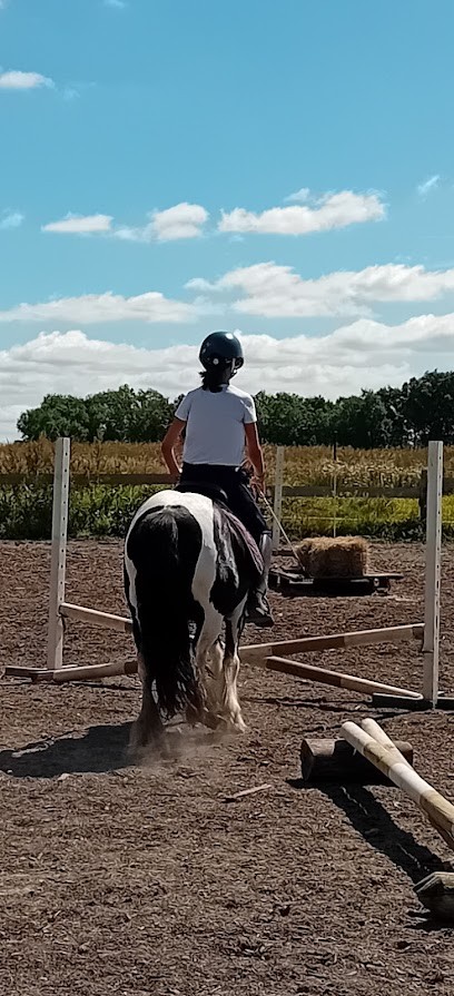 To Classified Ecuries, Centre Equestres à Legé