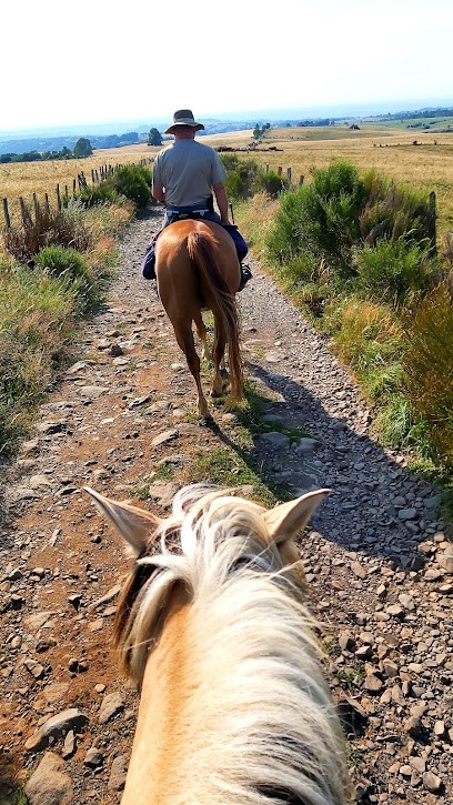 Cheval Nature Détente, Centre Equestres à Trizac