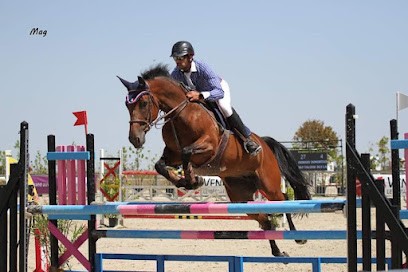 Écurie Equiperf, Pension pour Chevaux à Larçay