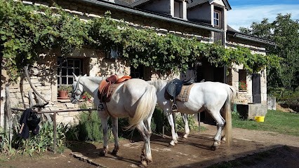 Les Écuries De Seuzac, Centre Equestres à Larnagol