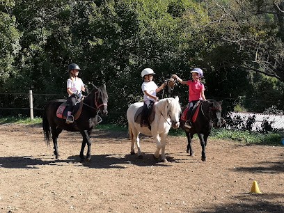 Pony Club Au Pen Dau Ferion, Centre Equestres à Levens