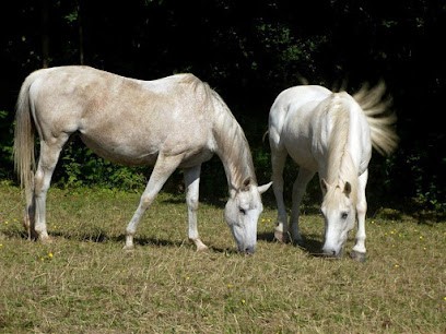 Earl Ecurie Lamande, Centre Equestres à Saint-Clet