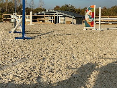 Ecurie d'Ace, Pension pour Chevaux à Flin