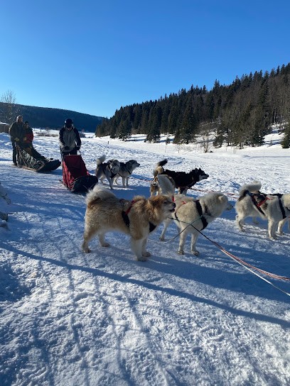 Les Équipages Adam's, Centre Equestres à Chaux-Neuve