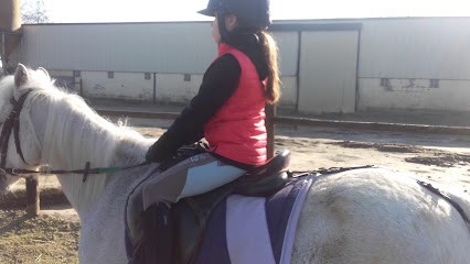 Ecole D'equitation, Centre Equestres à Dechy