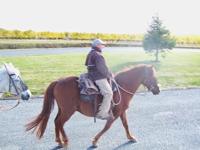 Cheval 24, Centre Equestres à Singleyrac