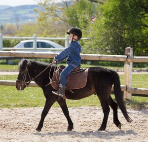 Pony Club De Mornant, Centre Equestres à Mornant