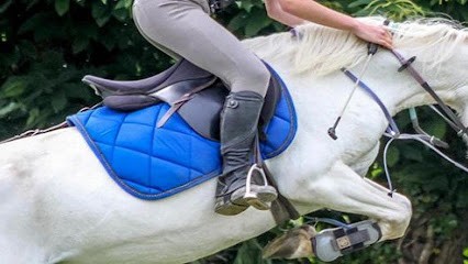 Les Chevaux Du Bel Air, Centre Equestres à Montreuil-le-Gast