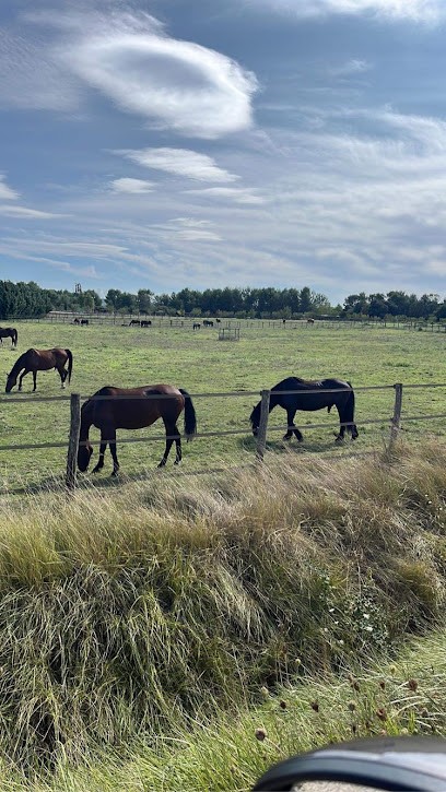 L'arche De Mone, Pension pour Chevaux à Ventabren